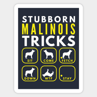 Stubborn Malinois Tricks - Dog Training Magnet